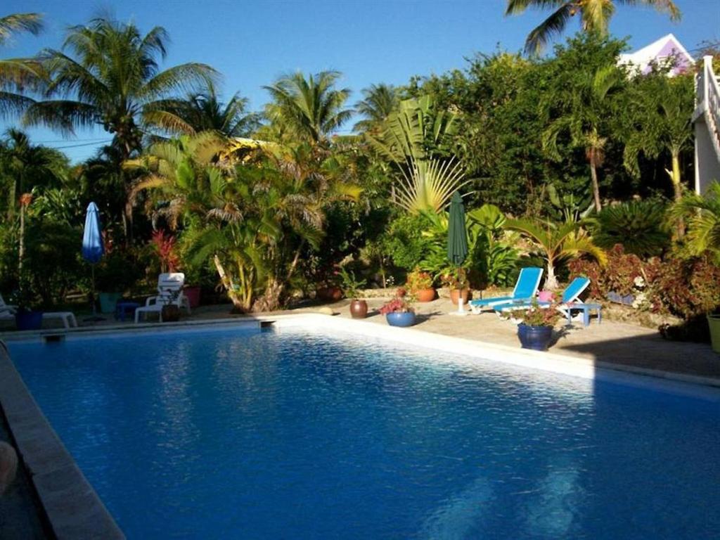 Hotel Cap Sud Caraibes - image 2