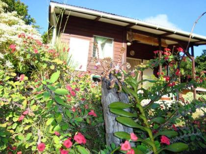 Bungalow with one bedroom in PointeNoire with furnished garden and WiFi - image 13