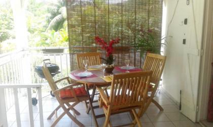 Apartment with one bedroom in Le Gosier with enclosed garden and WiFi 5 km from the beach - image 15