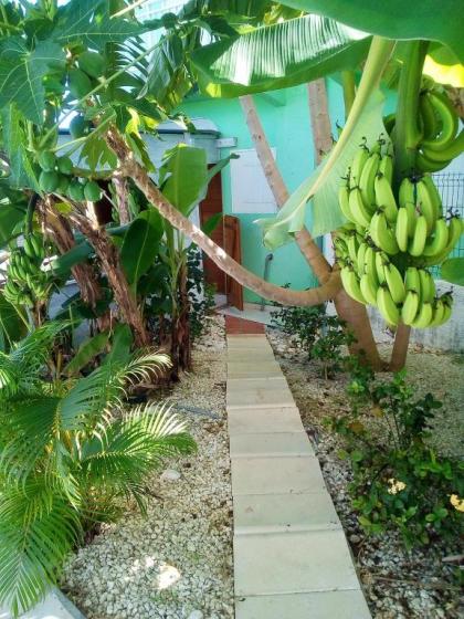 Apartment with one bedroom in Saint Anne with shared pool enclosed garden and WiFi 2 km from the beach - image 16
