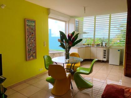 House with one bedroom in Le Gosier with wonderful sea view enclosed garden and WiFi 800 m from the beach - image 7