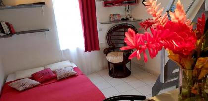 Apartment with one bedroom in Lamentin with wonderful mountain view furnished garden and WiFi - image 7