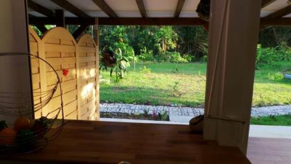 Apartment with one bedroom in Petit Bourg with wonderful mountain view furnished garden and WiFi - image 10