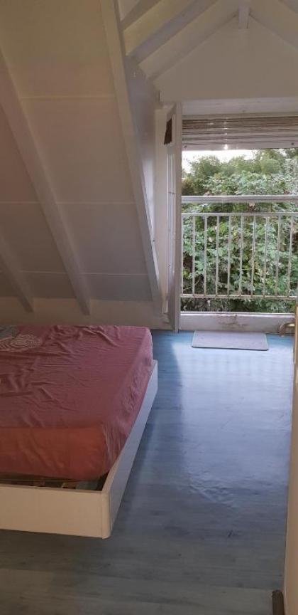 House with 3 bedrooms in PETIT BOURG with wonderful mountain view enclosed garden and WiFi - image 15