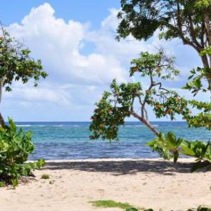 Residence tropicale
