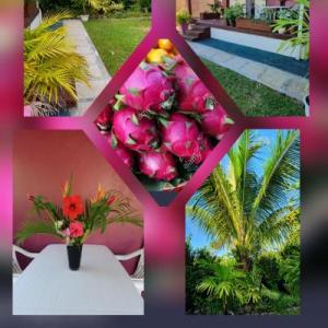 Les cottages de roseau