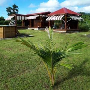 Holiday home in Guadeloupe 
