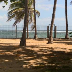Studio avec vue sur la mer jardin clos et wifi a Le Moule