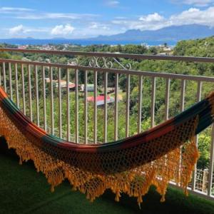 Papillon Caraibes Guadeloupe 