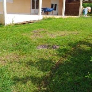 Studio avec vue sur la ville jardin et wifi a Goyave a 4 km de la plage