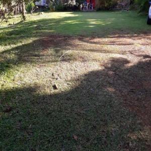 Maison d'une chambre avec jardin amenage et wifi a Petit Bourg