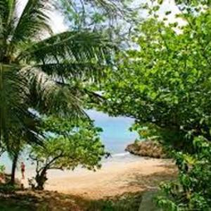 Holiday home in Guadeloupe 