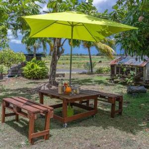 Le Verger de Charles   appartement et jardin arbore Guadeloupe 