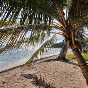 Sweety Paradise jacuzzi intimite zenitude et plages Guadeloupe