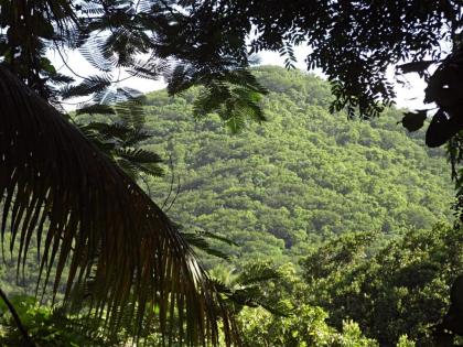 Insolite Ara Wakan / Ma cabane - image 11