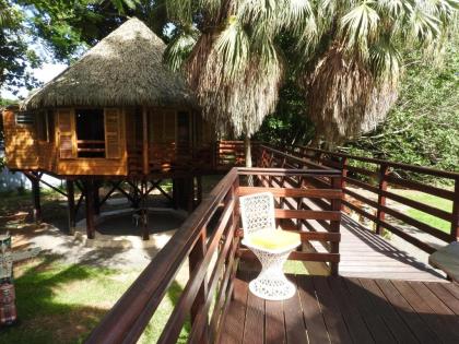 Insolite Ara Wakan / Ma cabane - image 20