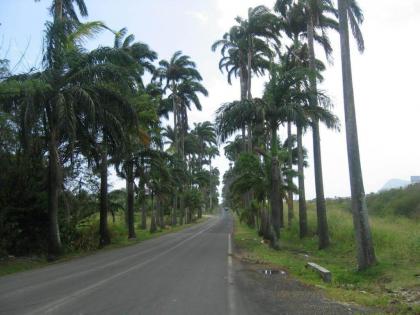 Gites VASSEAUX - image 18