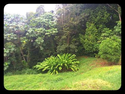 Aluna Ecolodge - image 13