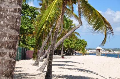 Résidence Tropicale - image 14