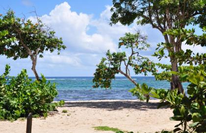 Résidence Tropicale - image 7