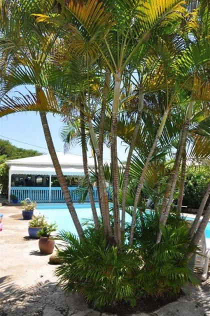 Hotel Cap Sud Caraibes - image 8
