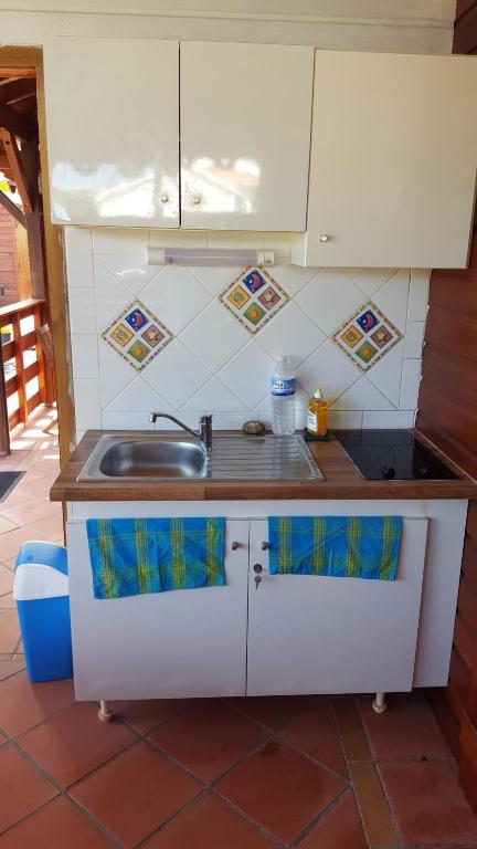 Gîte Les Palmistes - image 2