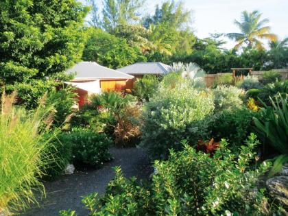 Shambala Lodge - image 12