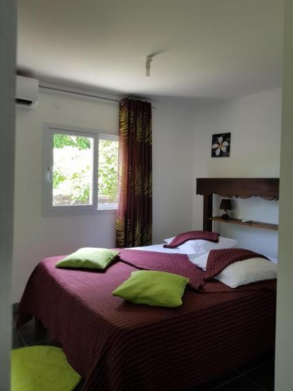 Jardin D'eden - image 7