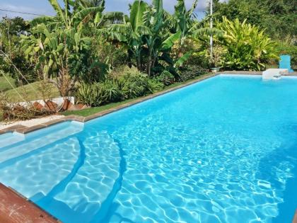 Villa de 3 chambres avec piscine privee jardin clos et wifi a Saint Francois a 3 km de la plage - image 17