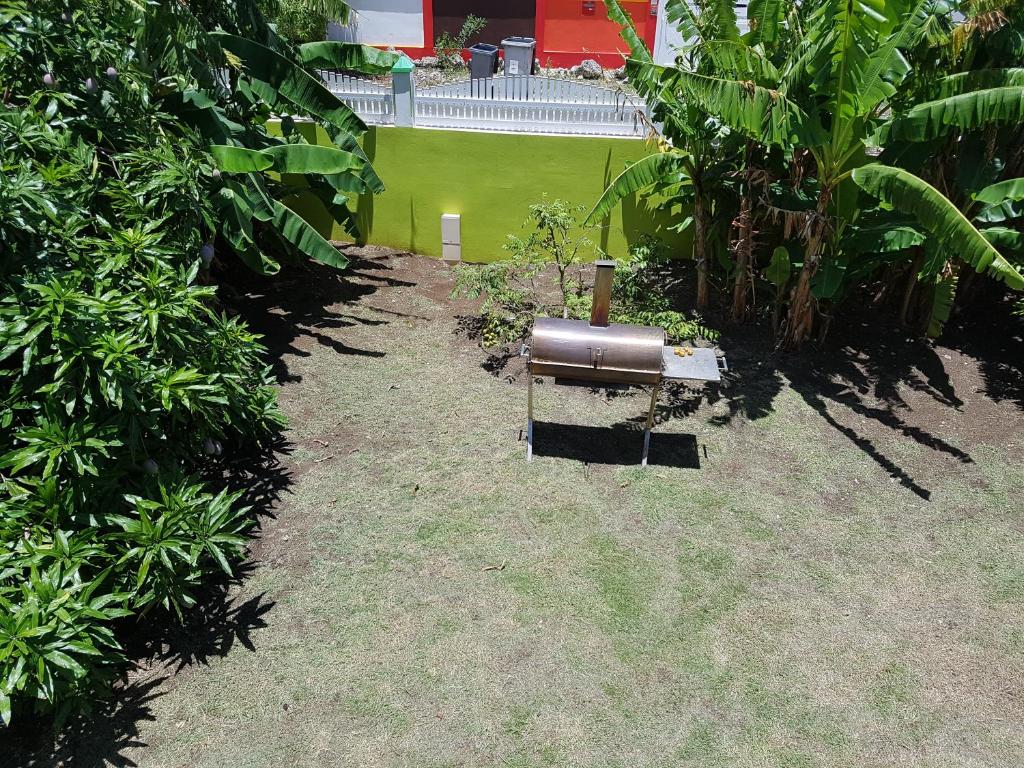 Gîtes Soussoune - image 5
