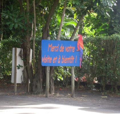 Villa Savane Creole - image 16