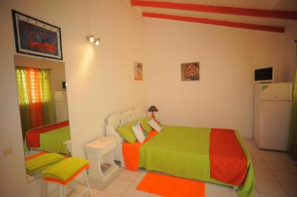 Au Domaine Des Bougainvilliers - image 19