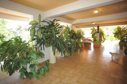 Au Domaine Des Bougainvilliers - image 7