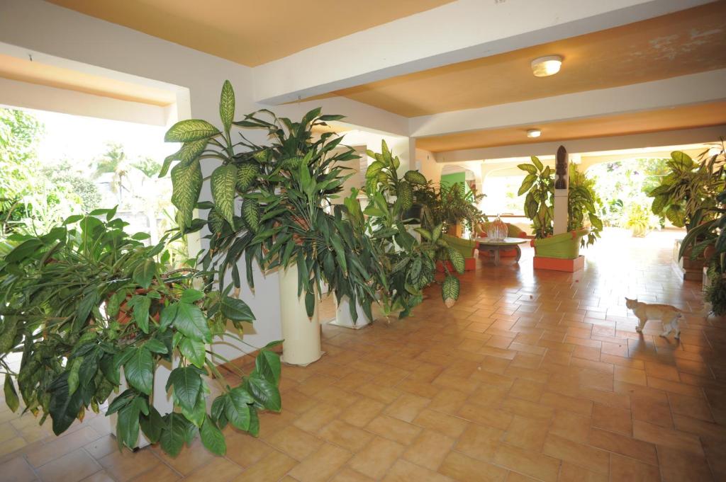 Au Domaine Des Bougainvilliers - image 7