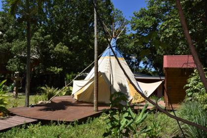Insolite Arawakane Gîtes du Manial - image 15