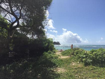 location guadeloupe - image 3