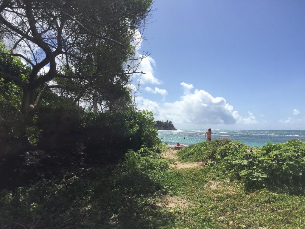 location guadeloupe - image 3