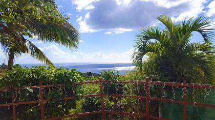 Maison de 2 chambres avec vue sur la mer jardin clos et wifi a Vieux Habitants a 2 km de la plage - image 16