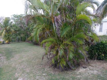 Villa Le Gommier Meublé de Tourisme 2 étoiles - image 10