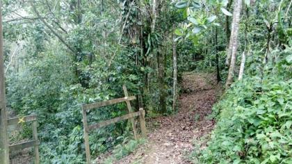 DADI'S LITTLE PARADIS - image 12