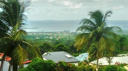 DADI'S LITTLE PARADIS - image 2