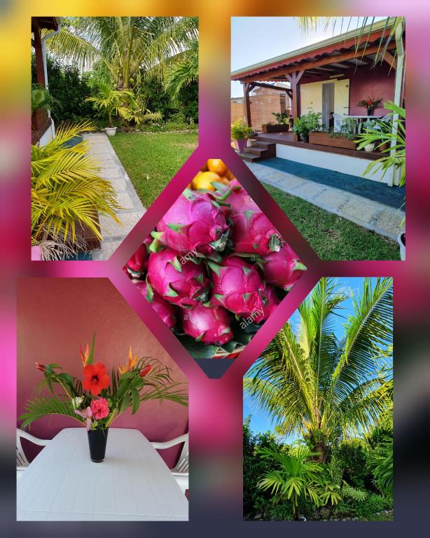 Les cottages de roseau - main image