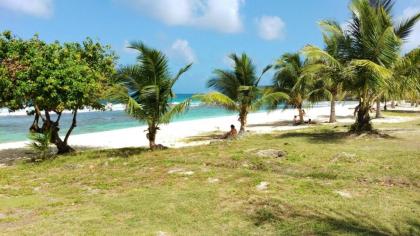 Maison de 2 chambres avec jardin amenage et wifi a Anse Bertrand a 1 km de la plage - image 11