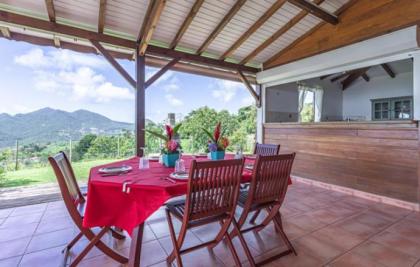 L'îlot Fruits Guadeloupe - image 21