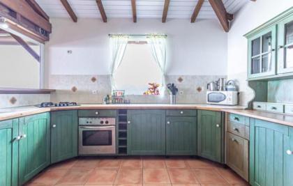 L'îlot Fruits Guadeloupe - image 28