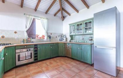 L'îlot Fruits Guadeloupe - image 29