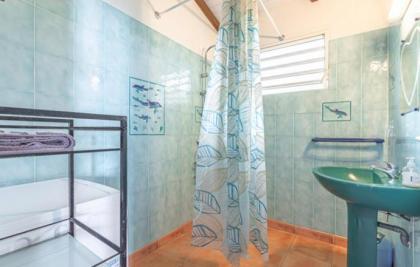 L'îlot Fruits Guadeloupe - image 30