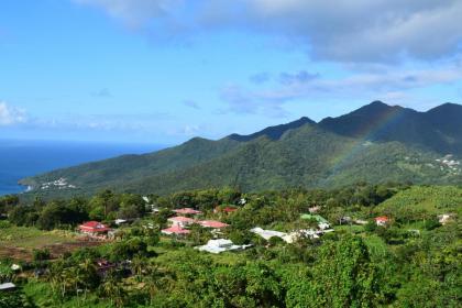 L'îlot Fruits Guadeloupe - image 6