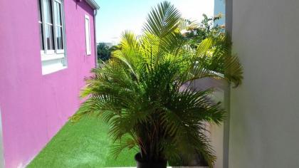 maison gosier pliane - image 4