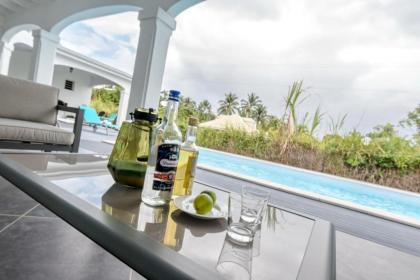Villa les Mineurs : Superbe Villa avec Piscine et Jardin - image 4